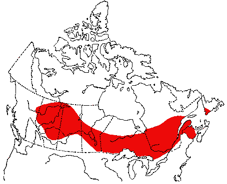 Map of Philadelphia Vireo in Canada