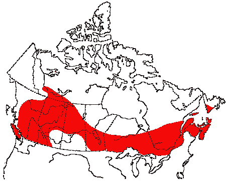 Map of Solitary Vireo in Canada