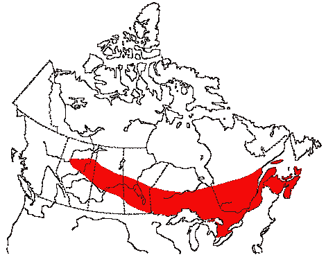 Map of Canada Warbler in Canada