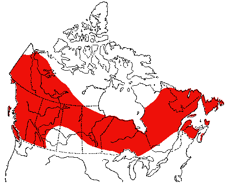 Map of Wilson's Warbler in Canada