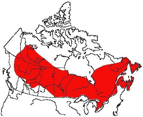 Map of White-throated Sparrow in Canada
