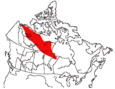 Map of Harris' Sparrow in Canada