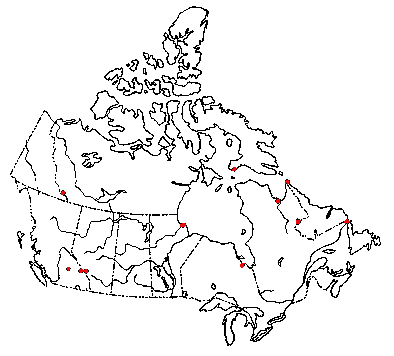 Map of <i>Mitrula gracili</i> in Canada