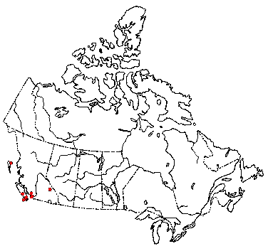 Map of Woolly Chroogomphus, Woolly Pine Spike in Canada