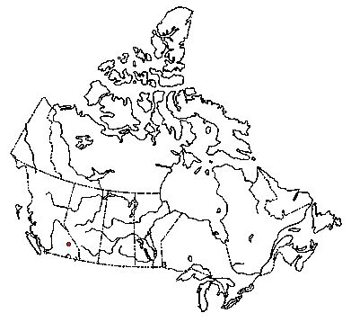 Map of <i>Collybia bakerensis</i> in Canada