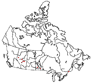 Map of <i>Crepidotus cinnabarinus</i> in Canada
