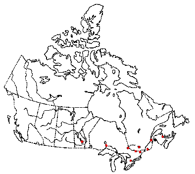 Map of <i>Crinipellis campanella</i> in Canada
