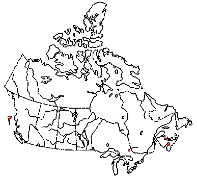 Map of <i>Crinipellis piceae</i> in Canada