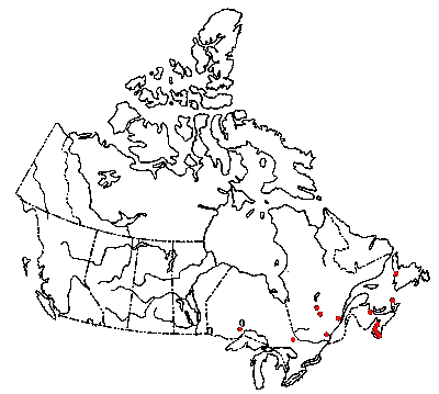 Map of Dispersed Naematoloma in Canada