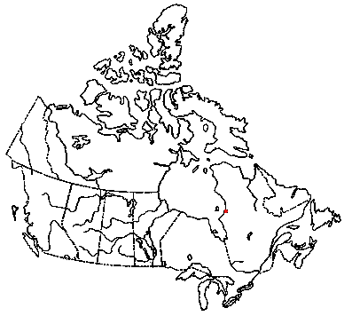 Map of Sandy Laccaria in Canada