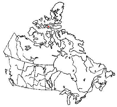 Map of <i>Lepista multiforme</i> in Canada