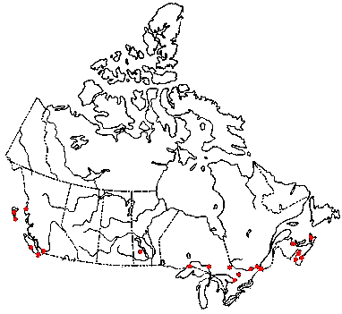 Map of <i>Mitrula elegans</i> in Canada
