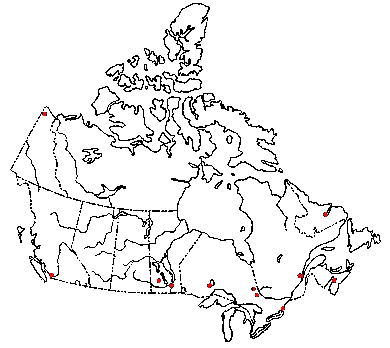 Map of <i>Phaeomarasmius erinaceus</i> in Canada
