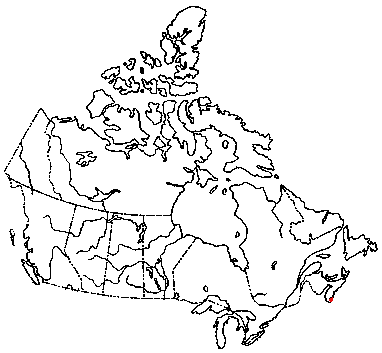 Map of <i>Pleuroflammula flammea</i> in Canada