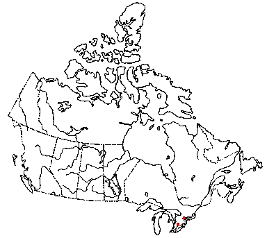 Map of <i>Resinomycena rhododendri</i> in Canada