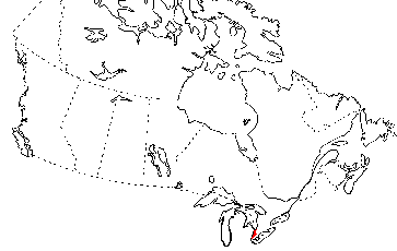 Map of Northern Cricket Frog in Canada