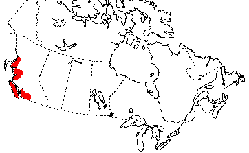 Map of Northwestern Salamander in Canada