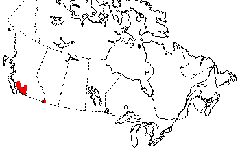 Map of Tailed Frog in Canada