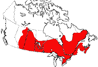 Map of American Toad in Canada