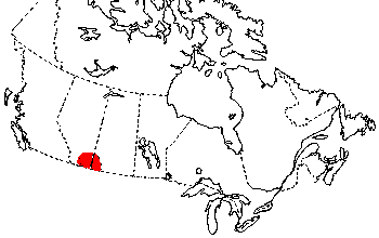Map of Great Plains Toad in Canada