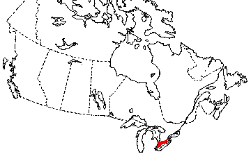 Map of Fowler's Toad in Canada