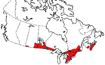 Map of Common Snapping Turtle in Canada