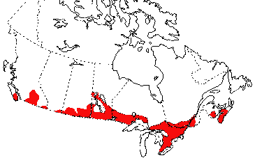 Map of Painted Turtle in Canada