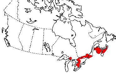 Map of Wood Turtle in Canada