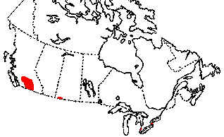 Map of Racer in Canada
