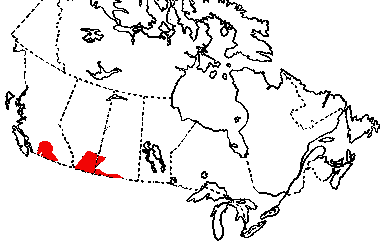 Map of Western Rattlesnake in Canada