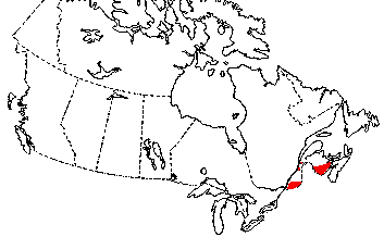 Map of Dusky Salamander in Canada