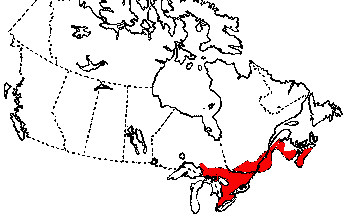 Map of Ringneck Snake  in Canada