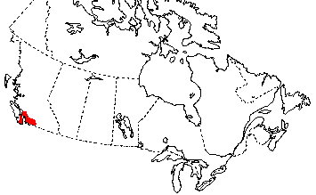 Map of Eschscholtz's Salamander in Canada