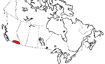 Map of Western Skink in Canada