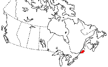 Map of Spring Salamander in Canada