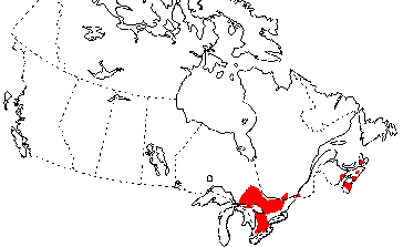 Map of Four-toed Salamander in Canada