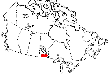 Map of Diploid Gray Treefrog in Canada