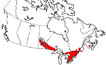 Map of Tetraploid Gray Treefrog in Canada