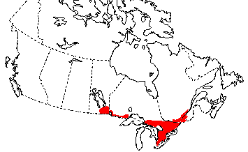 Map of Mudpuppy in Canada