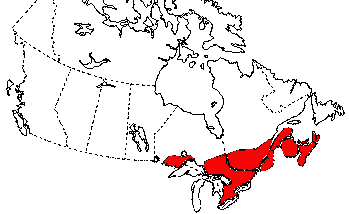Map of Eastern Newt in Canada