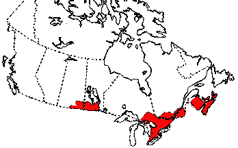 Map of Smooth Green Snake in Canada