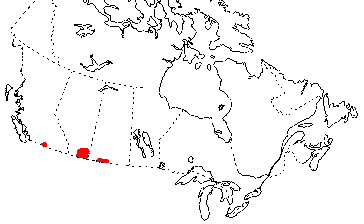 Map of Short-horned Lizard in Canada