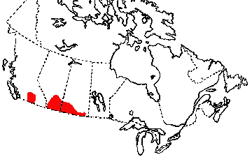 Map of Gopher Snake in Canada