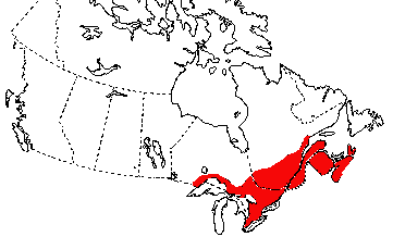 Map of Eastern Redback Salamander in Canada