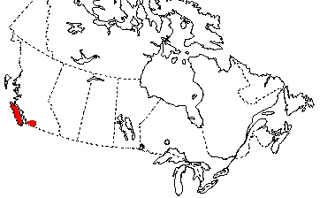 Map of Western Redback Salamander in Canada