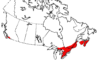 Map of Bullfrog in Canada