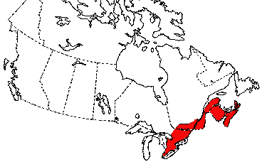 Map of Pickerel Frog in Canada