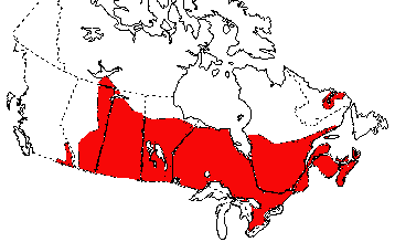 Map of Northern Leopard Frog in Canada