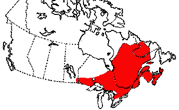 Map of Mink Frog in Canada