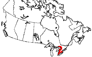 Map of Massasauga in Canada